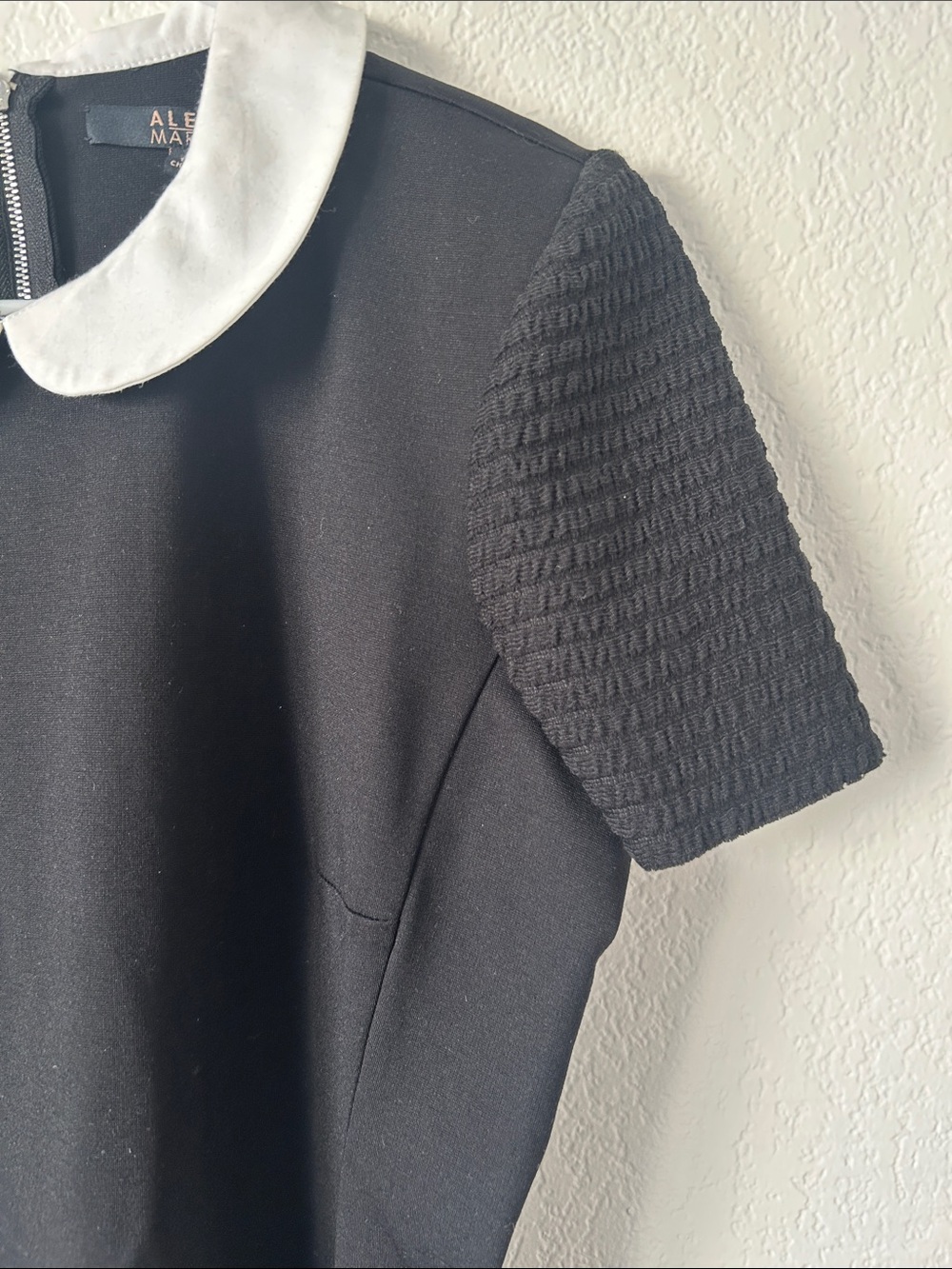 Alex Marie Black Midi Dress with White Peter Pan Collar - Picture 4 of 9
